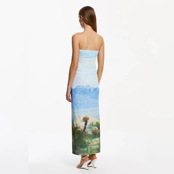 Significant Other Sura Strapless Midi Dress in Arizona Print Size 4 NWT - Picture 3 of 7